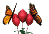 flowersCLR.gif (9786 bytes)